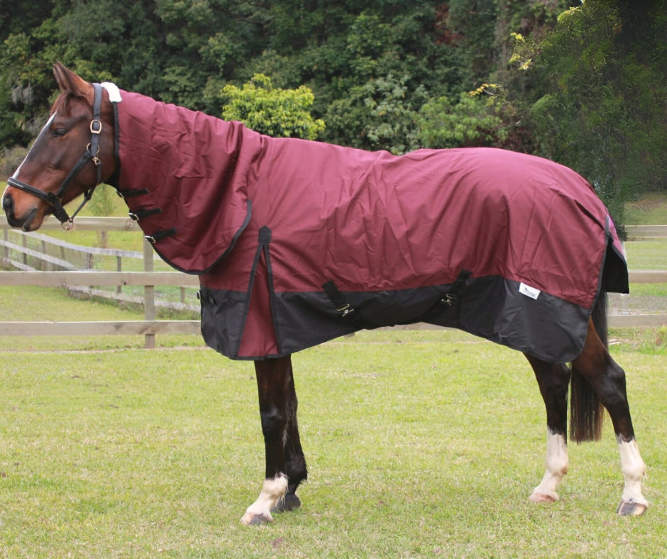 Affordable Horse Care Products Clothes Jewelry Bags Neddy Wear