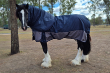 "Aspen" Heavy Horse 1200D Winter Turnout