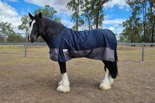 "Aspen" Heavy Horse 1200D Winter Turnout