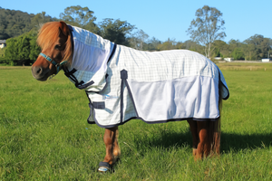 Miniature Hybrid Cotton/Mesh Combo