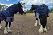 "Aspen" Heavy Horse 1200D Winter Turnout