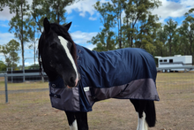 "Aspen" Heavy Horse 1200D Winter Turnout