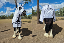 "King" Heavy Horse Hooded Mesh Combo
