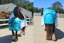 "Ranger" Heavy Horse Hybrid Rainsheet/Mesh Combo