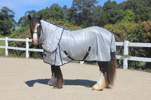 "Gemma" Heavy Horse Mesh Combo