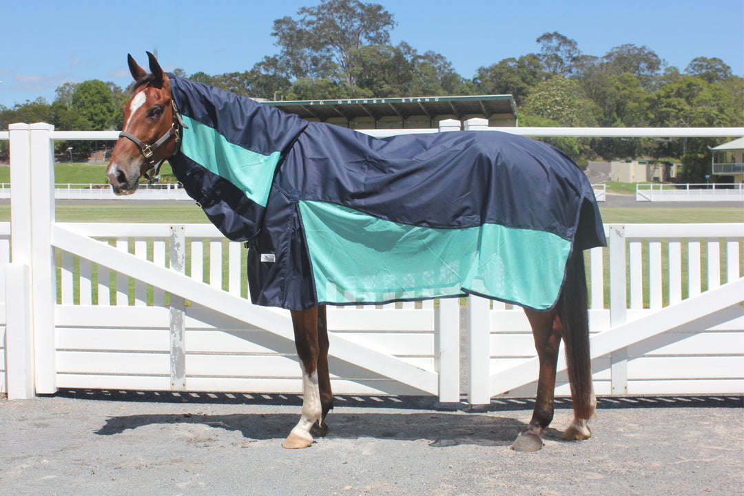 Hybrid Airflow Rainsheet/Mesh Combo – Neddy Wear Horse Rugs & Accessories