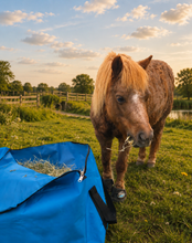 Neddy Wear Travel Hay Bale Bag