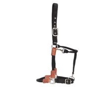 Fort Worth Hybrid Rope/Web Halter Full