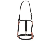 Fort Worth Hybrid Rope/Web Halter Full