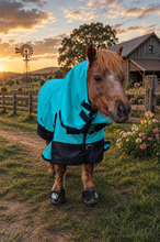 Miniature 1200D Rainsheet Combo