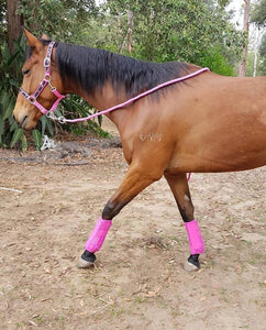 [High Quality Horse Rugs & Accessories Online] - Neddy Wear