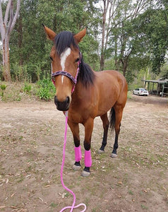 [High Quality Horse Rugs & Accessories Online] - Neddy Wear