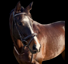 Soft Leather Bridle with Bling Browband