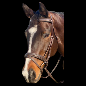 Soft Leather Bridle with Bling Browband