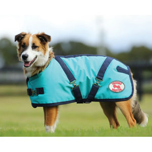 Thermo Master Supreme Dog Coat - Teal